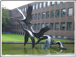 校园天鹅雕塑